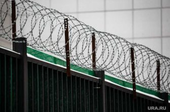 Навальный колония