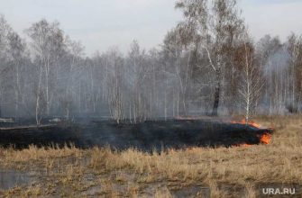 новости хмао лесные пожары власти не готовы нарушения в работе не смогут потушить возгорание