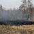 В прокуратуре ХМАО признали, что округ не готов к лесным пожарам