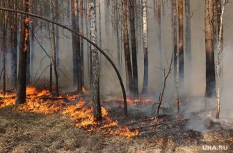пожары тюменская область
