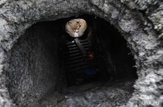 отравление метаном