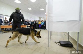 В полиции установили