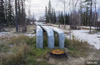 предприятия