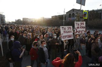 иноагенты Навальный ФБК выборы свердловское заксобрание