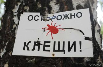 риккетсиоз