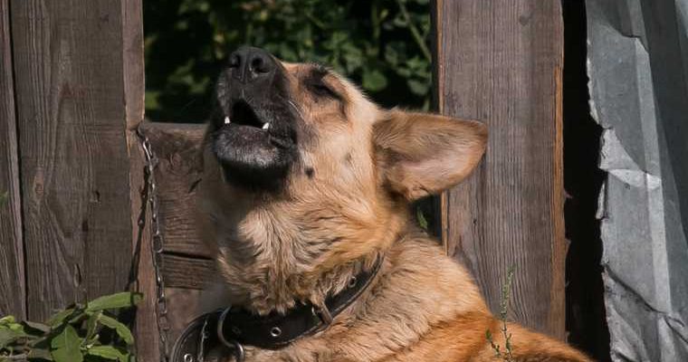 Госдума депутат Владимир Бурматов