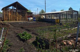 дача участок земля постройки дом баня строительство