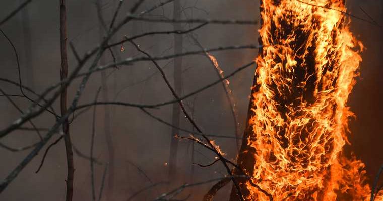 новости хмао высокий риск возникновения лесных пожаров в югре горят леса в кондинском районе пожары в Березовском районе