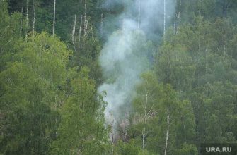 новости хмао горит лес увеличилась площадь лесных пожаров в югре природные пожары накрыли лес ущерб югорским лесам природе
