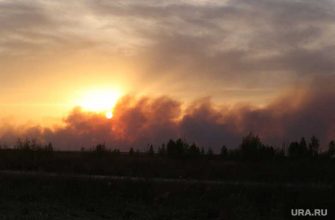 Пожар в лесу