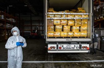 Россия зависит от импортных товаров