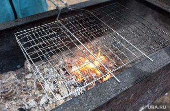 запрет на посещение лесов