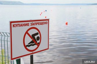 СК РФ по Тюменской области