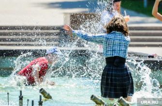 заболеваемость