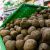 Власти объяснили рост цен на овощи в тюменских магазинах