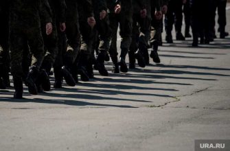 Андрей Кошкин