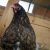Третий за полмесяца район Тюменской области поразил птичий грипп
