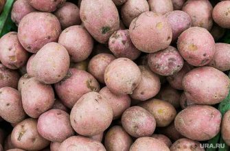 Пермский край