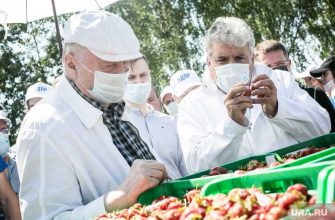 Лидер ЛДПР Владимир Жириновский