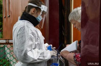 голосование на дому