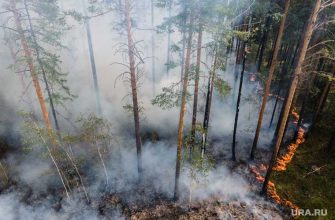 лесной пожар Лобаново Катайский район