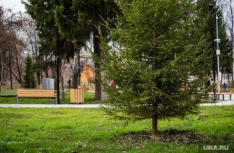 Опалихинская